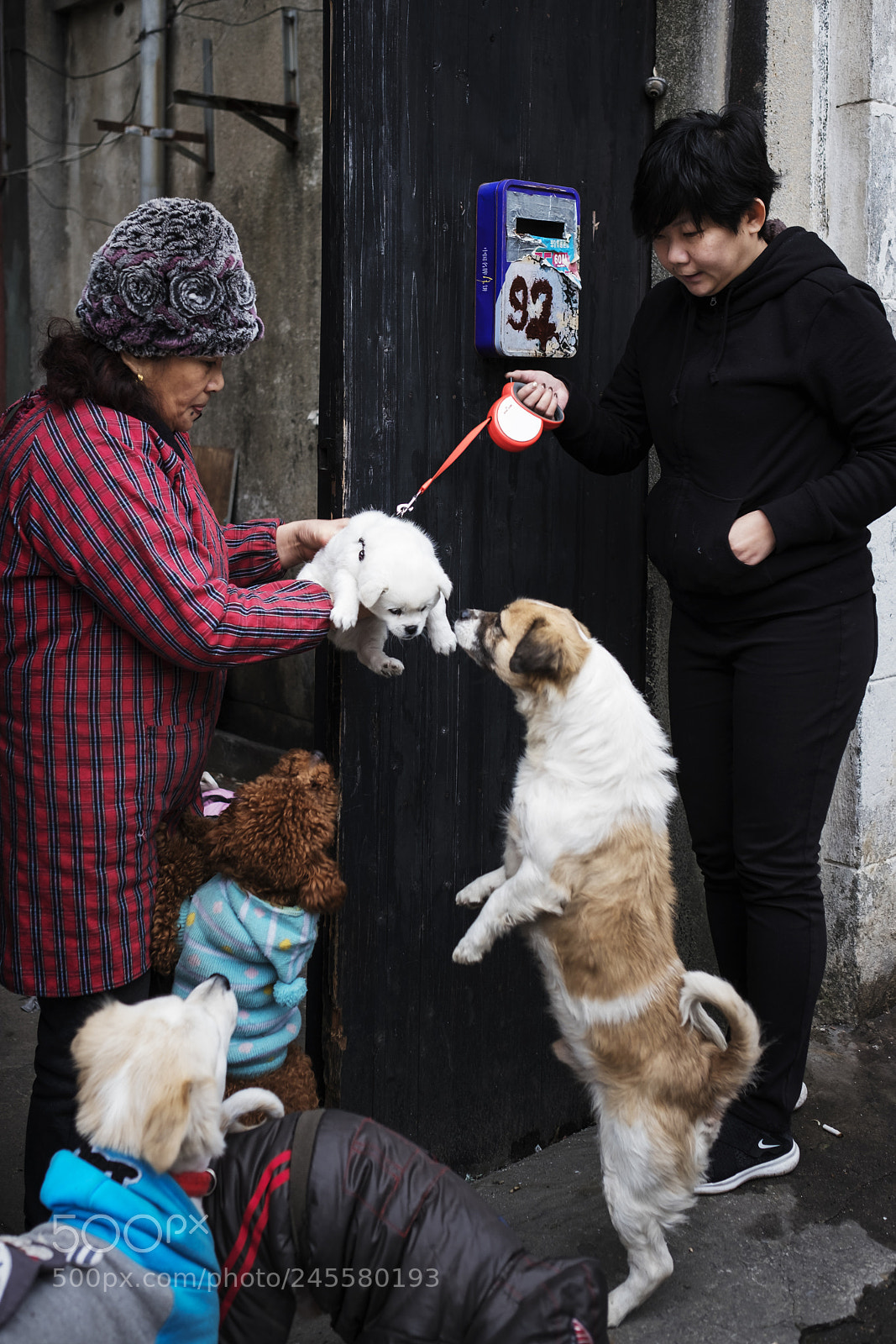 Fujifilm X-T2 sample photo. Untitled photography