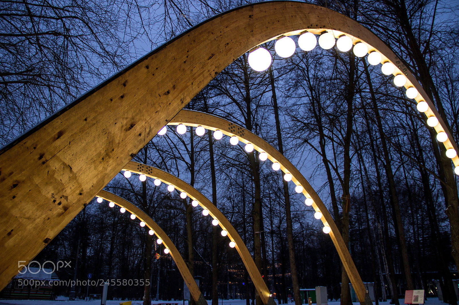 Canon EOS 600D (Rebel EOS T3i / EOS Kiss X5) sample photo. Sokolniki park, moscow photography