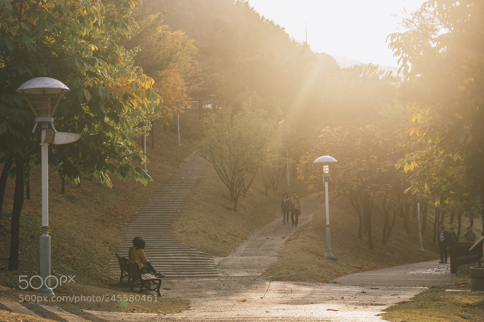 Sony a7 II sample photo. Untitled photography