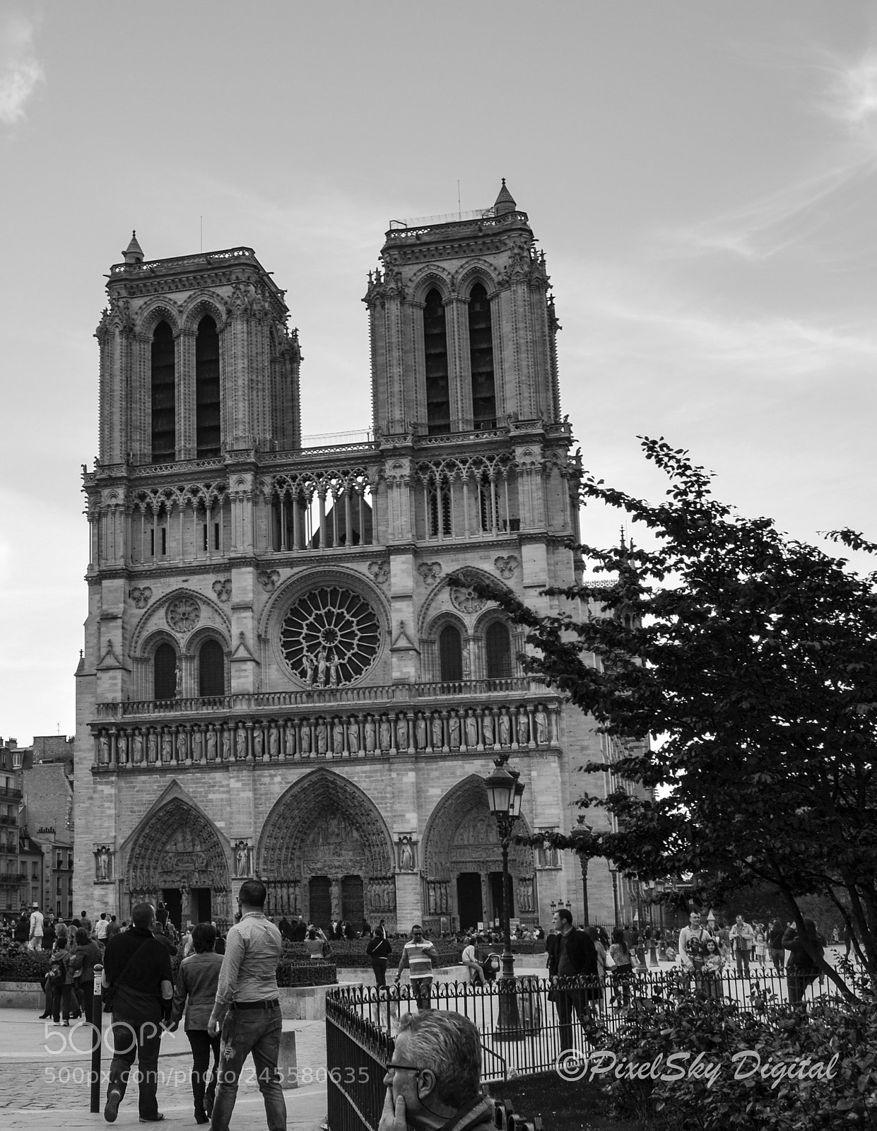 Nikon D5100 sample photo. Notre dame cathedral photography