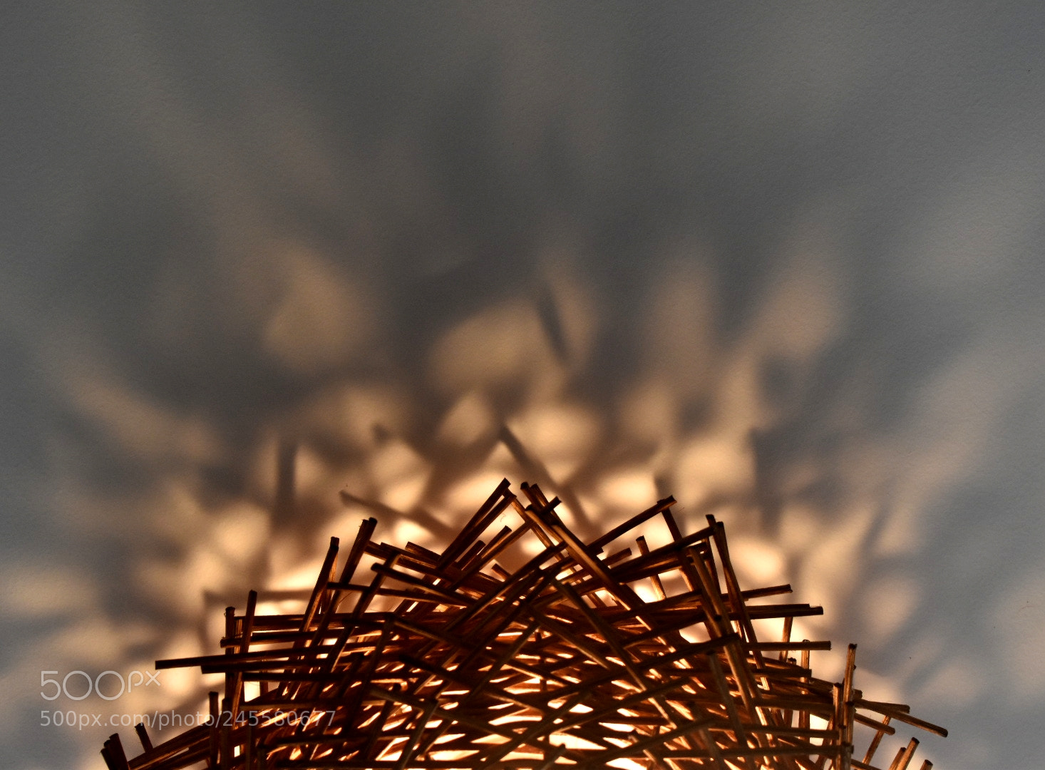 Nikon D5600 sample photo. Nest on fire photography