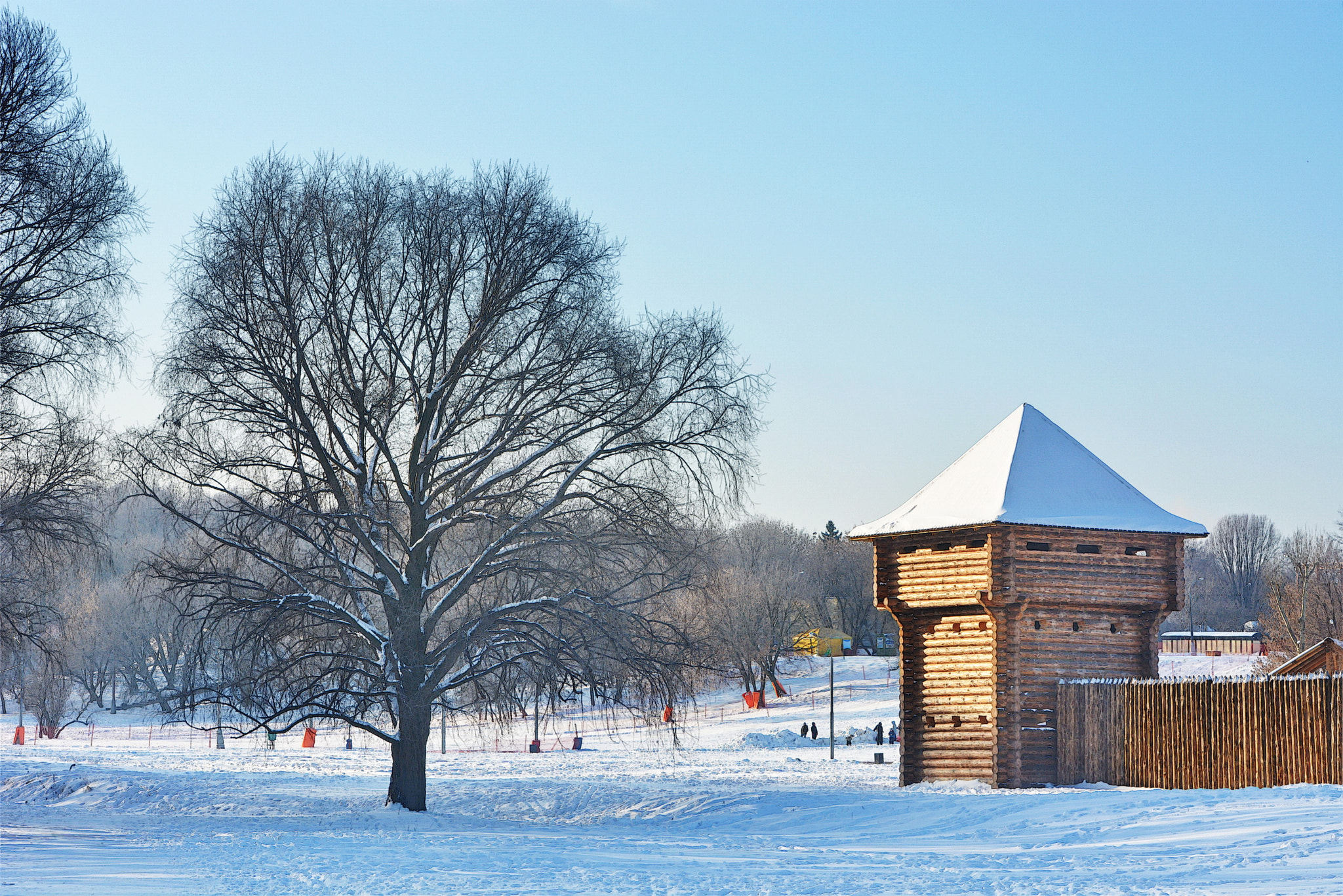 Nikon D5200 sample photo. Clear winter day photography