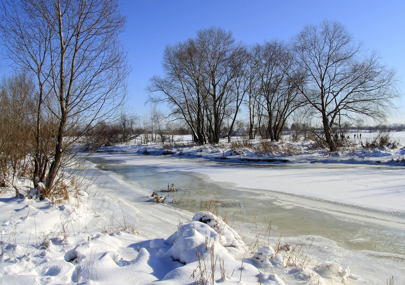Canon EOS 500D (EOS Rebel T1i / EOS Kiss X3) sample photo. Sunny winter day photography