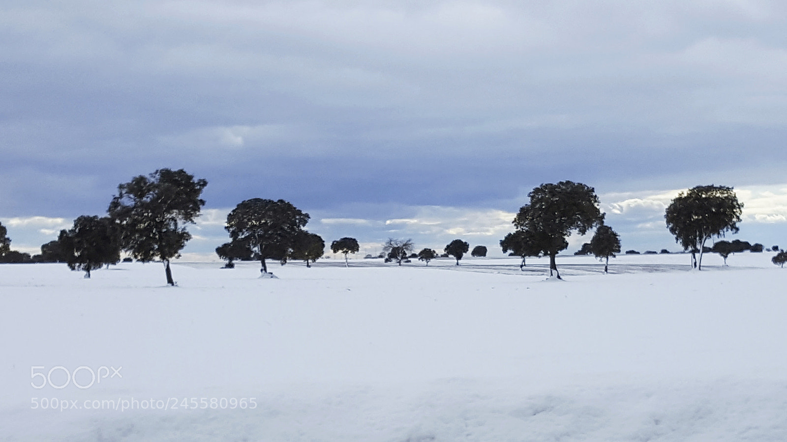 Samsung Galaxy S6 sample photo. Nieve en la alcarria photography