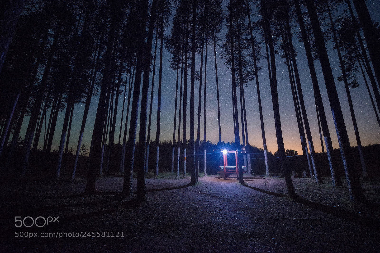 Nikon D610 sample photo. 843. the light in photography
