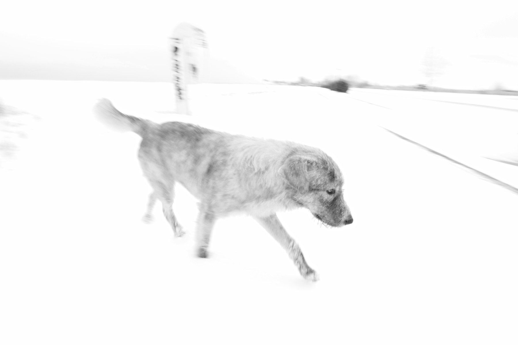 Nikon D7100 sample photo. #79 photography