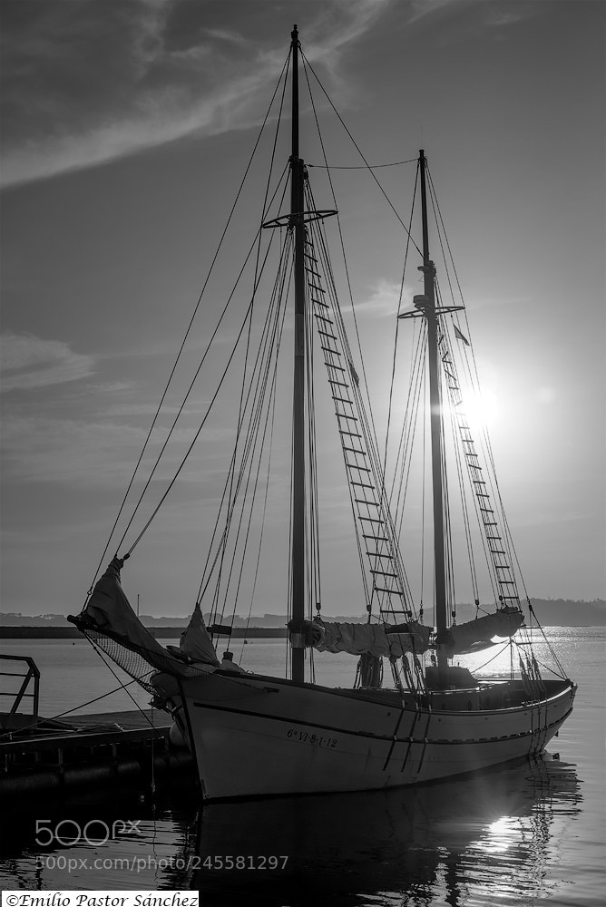 Nikon D800 sample photo. Copia photography