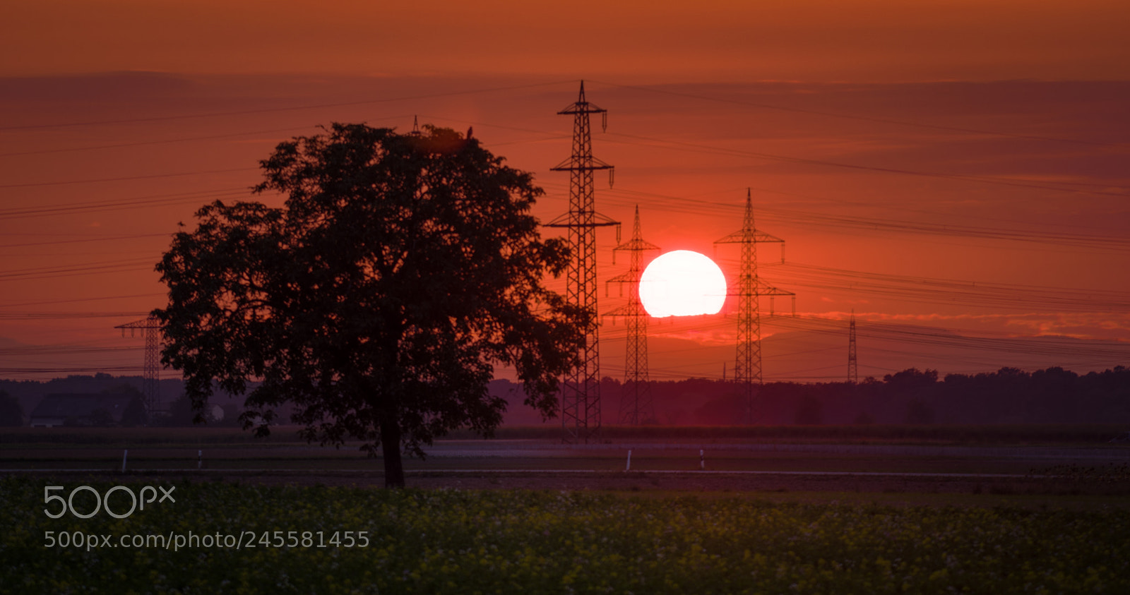 Pentax K-3 sample photo. Sunet photography
