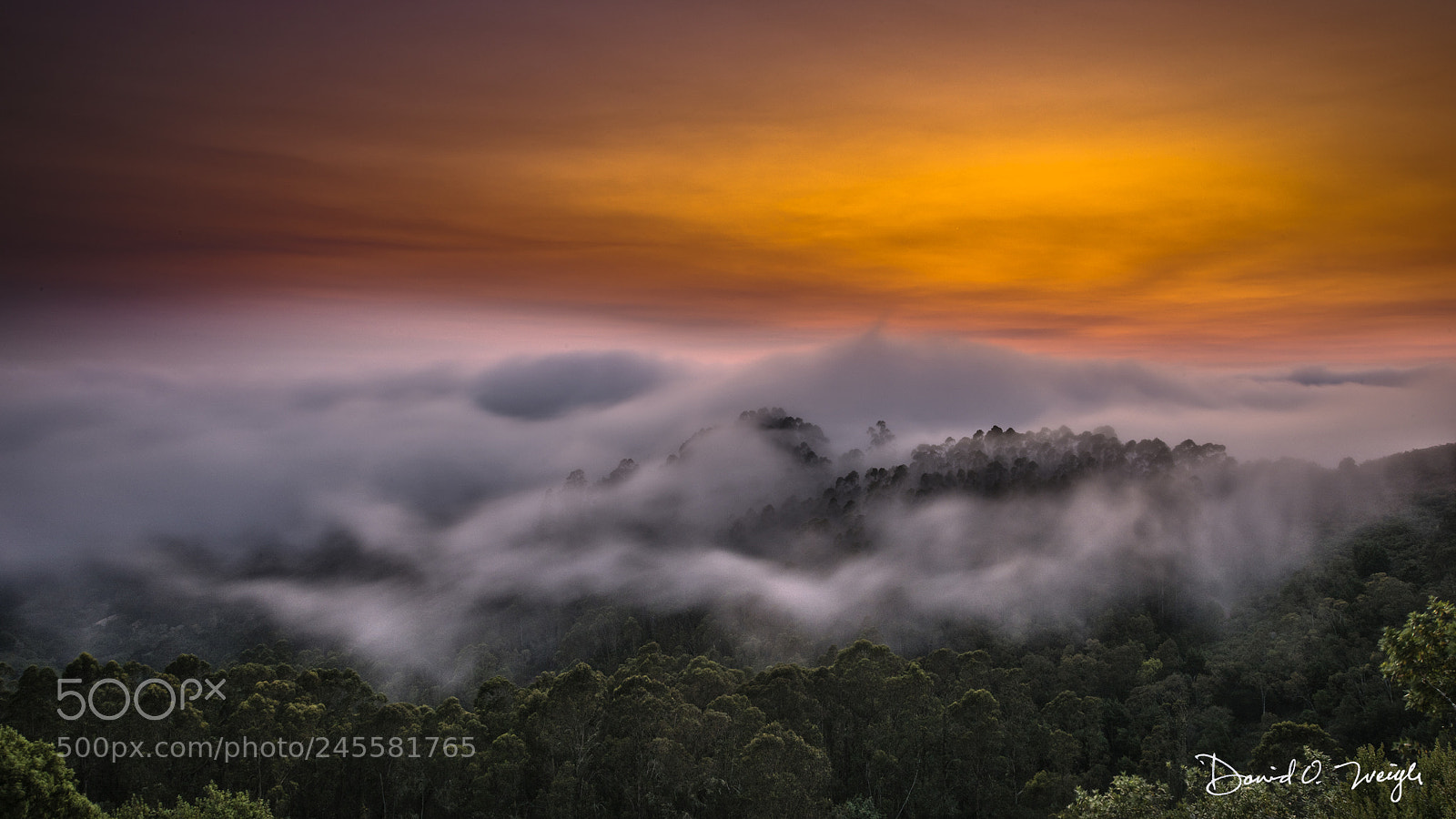 Nikon D810 sample photo. Foggy skyline sunset photography