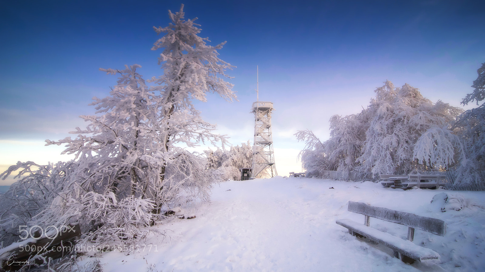 Nikon D7100 sample photo. Frozen photography