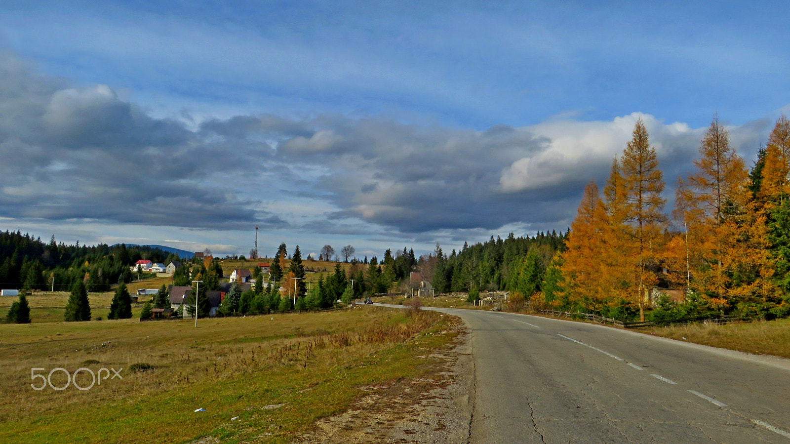 Canon PowerShot SX280 HS sample photo. Wood by the road photography