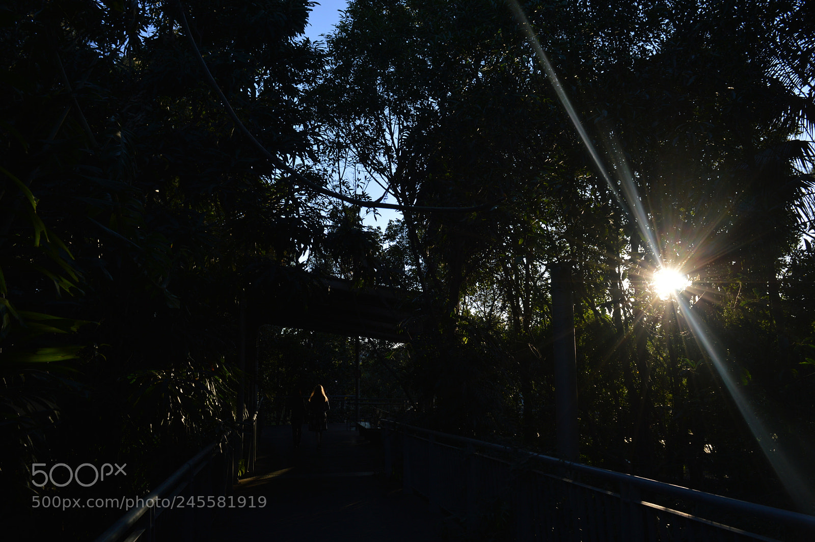 Nikon D3200 sample photo. Through the darkness photography