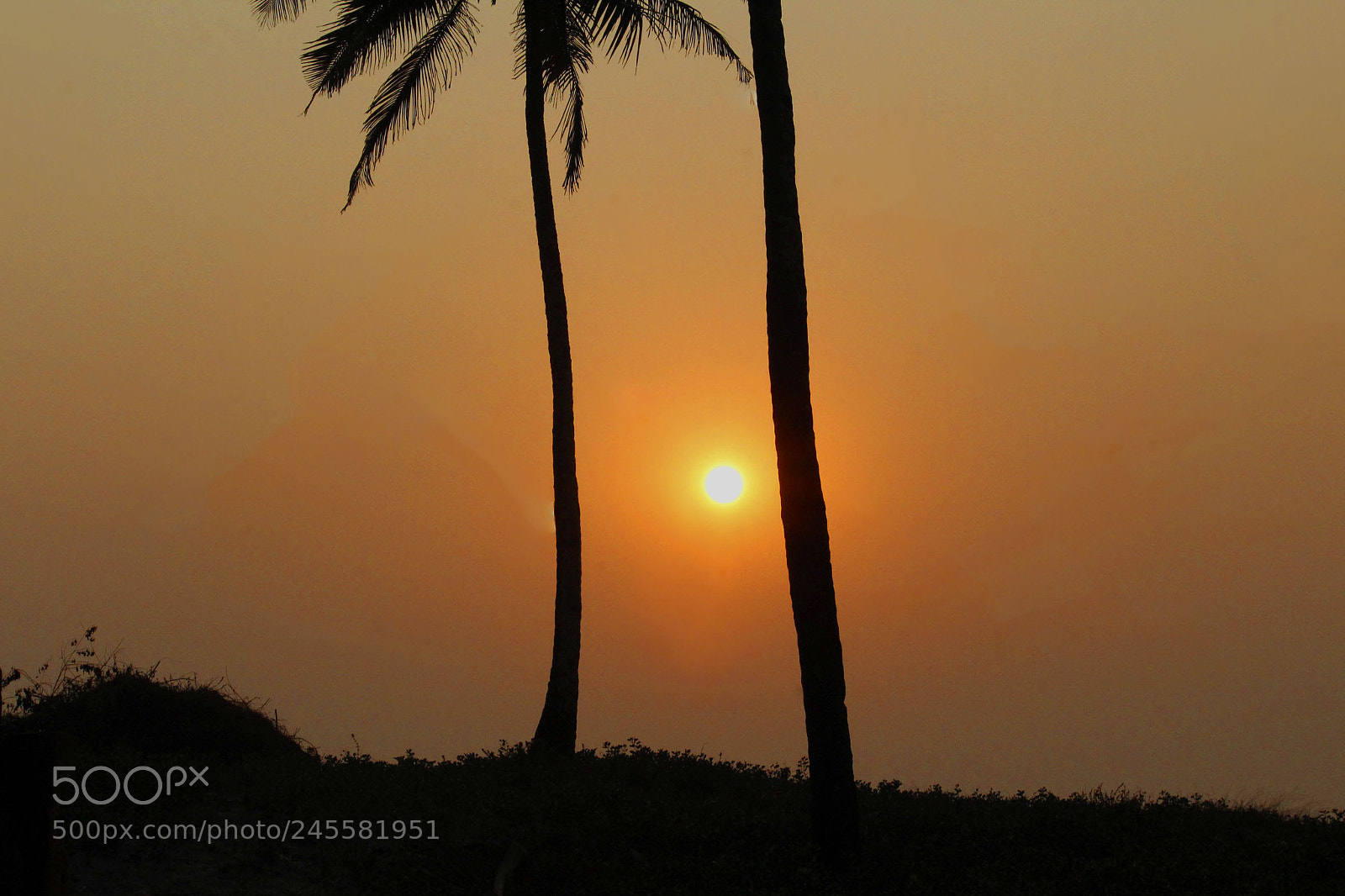 Canon EOS 1300D (EOS Rebel T6 / EOS Kiss X80) sample photo. Sunset photography