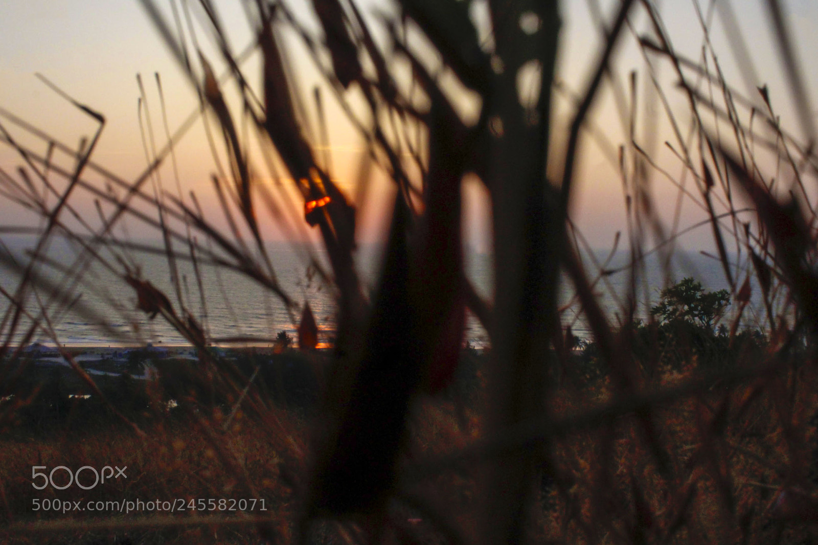 Canon EOS 1300D (EOS Rebel T6 / EOS Kiss X80) sample photo. Sunset photography