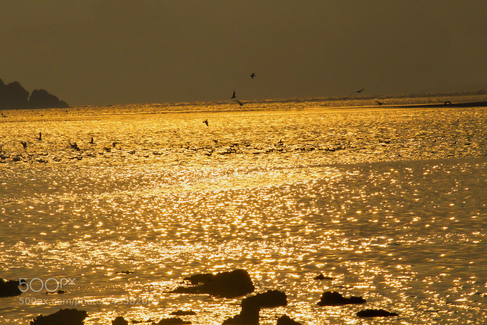 Canon EOS 1300D (EOS Rebel T6 / EOS Kiss X80) sample photo. Sunset photography