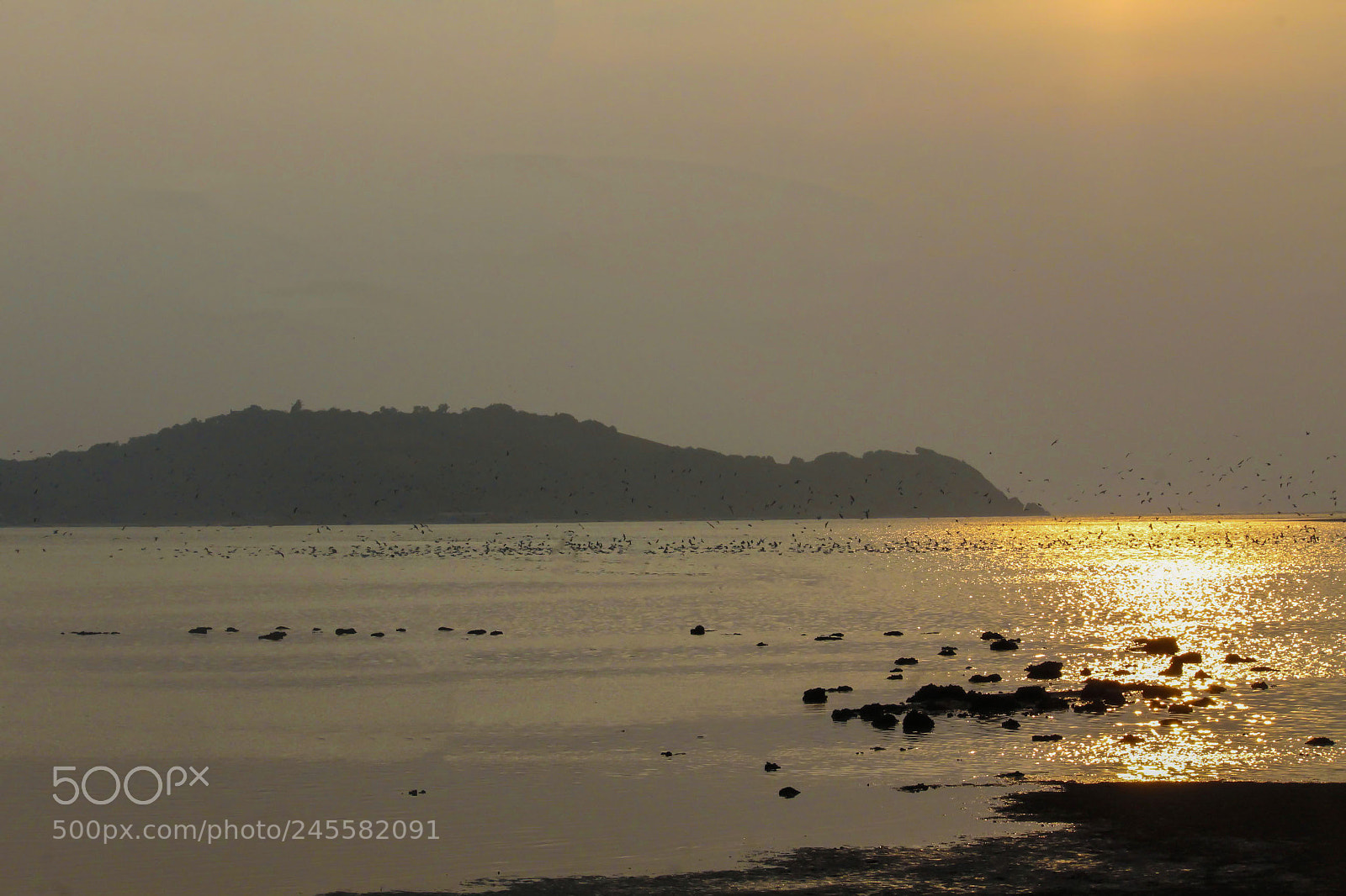Canon EOS 1300D (EOS Rebel T6 / EOS Kiss X80) sample photo. Sunset photography