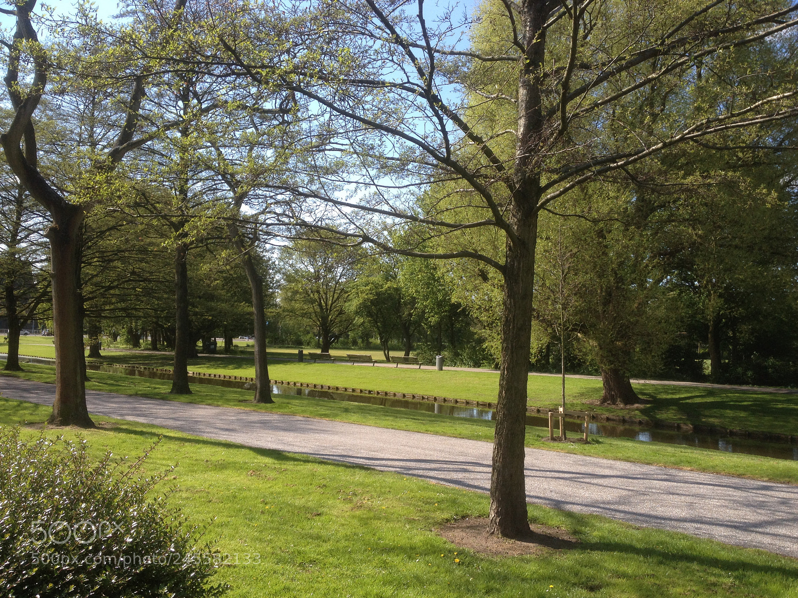 Apple iPhone 4S sample photo. Rotterdam, vroesenpark photography