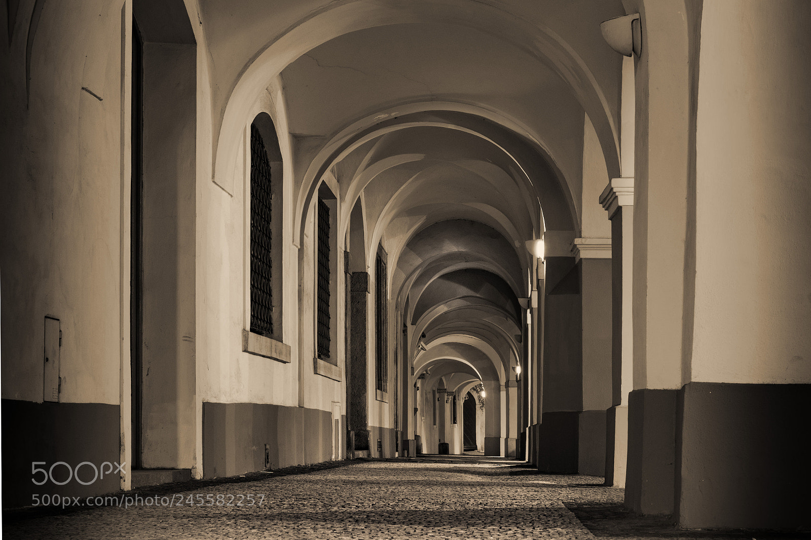 Nikon D7200 sample photo. Arched walkway photography