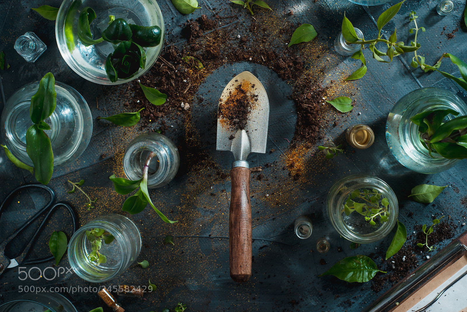 Nikon D800 sample photo. Gardening spade in a photography