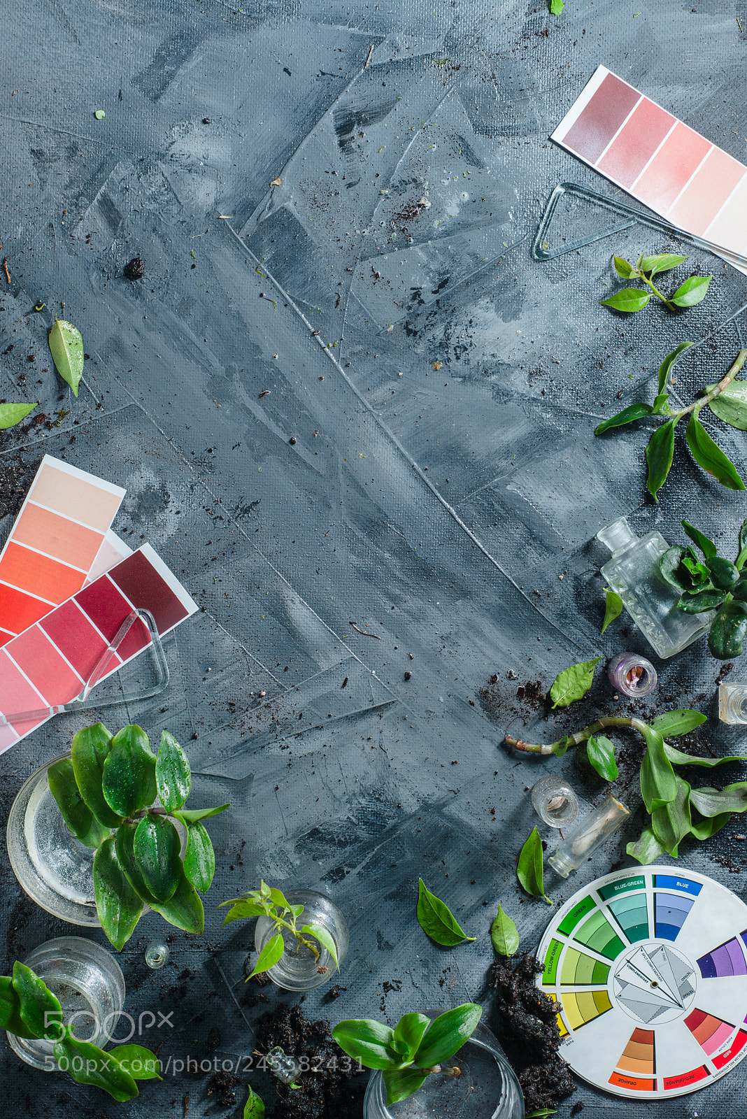 Nikon D800 sample photo. Artist palettes and swatches photography