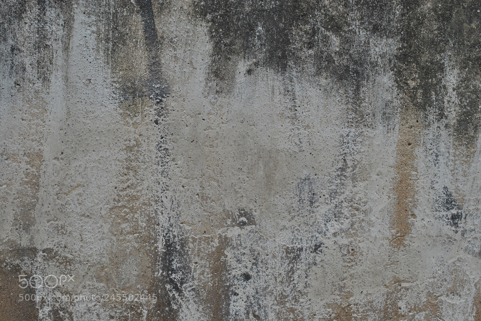 Nikon D3000 sample photo. Textured wall photography