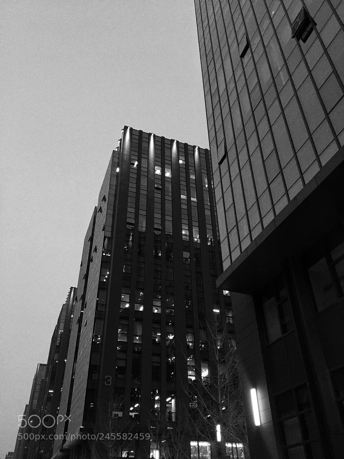 Apple iPhone 6s sample photo. Untitled photography