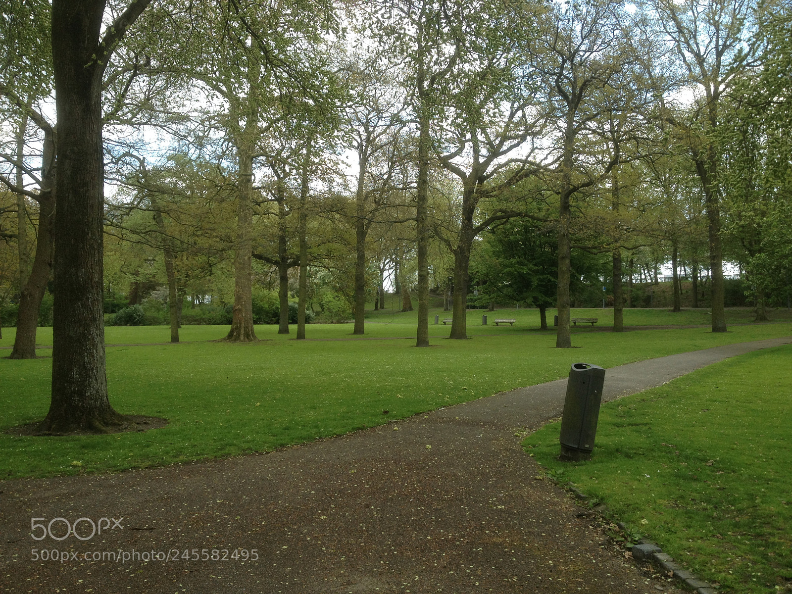 Apple iPhone 4S sample photo. Rotterdam westzeedijk, het park photography