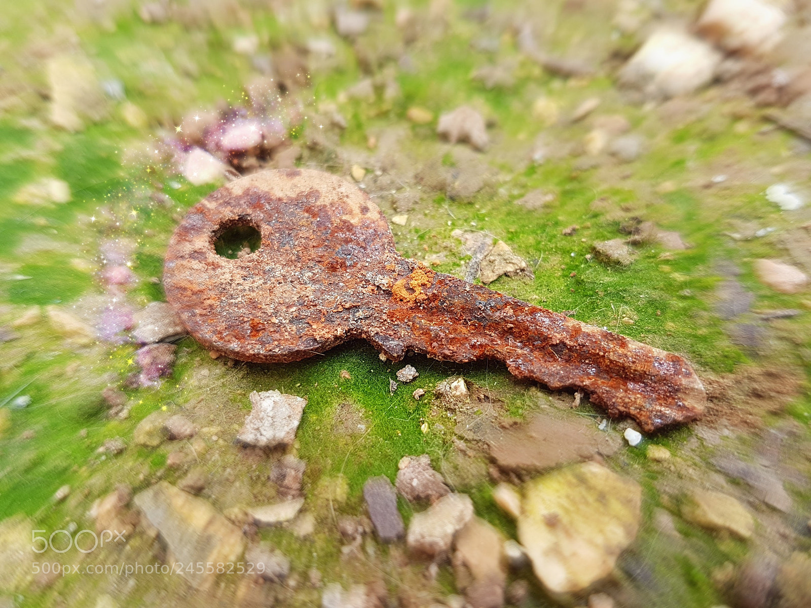 Samsung Galaxy S7 Edge sample photo. Untitled photography