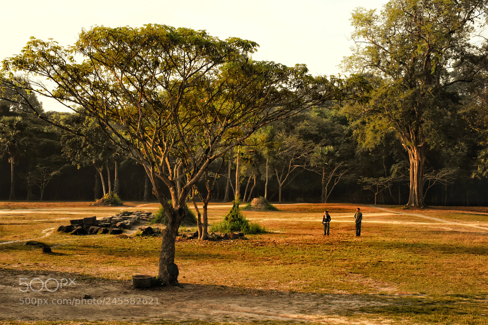 Nikon D7200 sample photo. Untitled photography