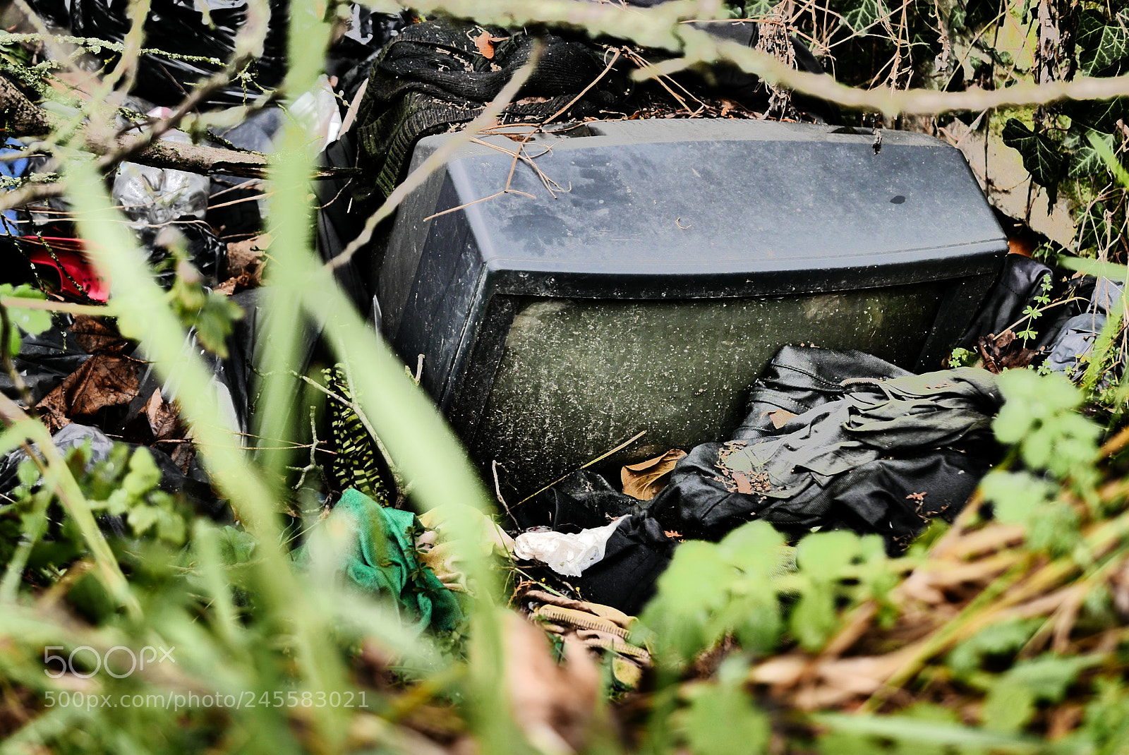 Panasonic Lumix DMC-LX100 sample photo. Burial ground. photography
