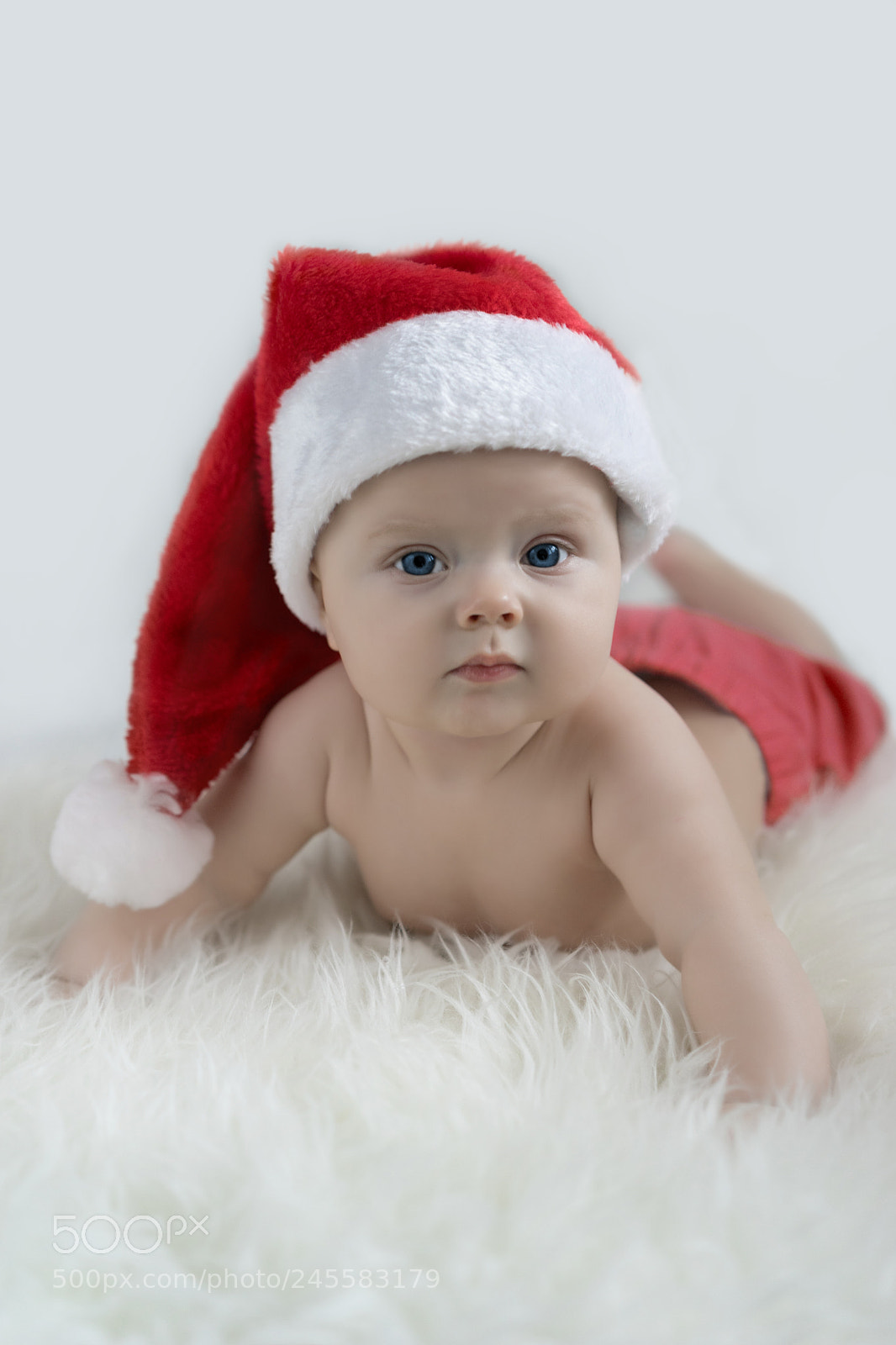 Sony a7 sample photo. Christmas photography