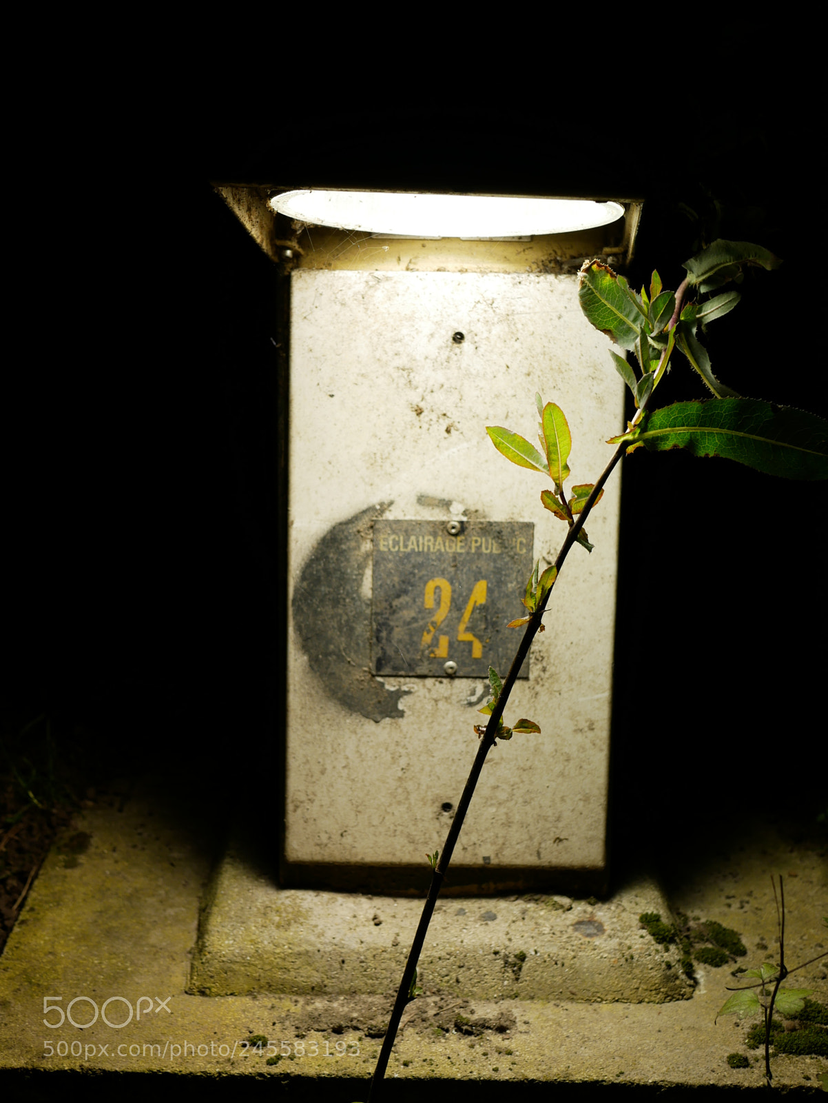 Panasonic Lumix DMC-GX85 (Lumix DMC-GX80 / Lumix DMC-GX7 Mark II) sample photo. Untitled photography