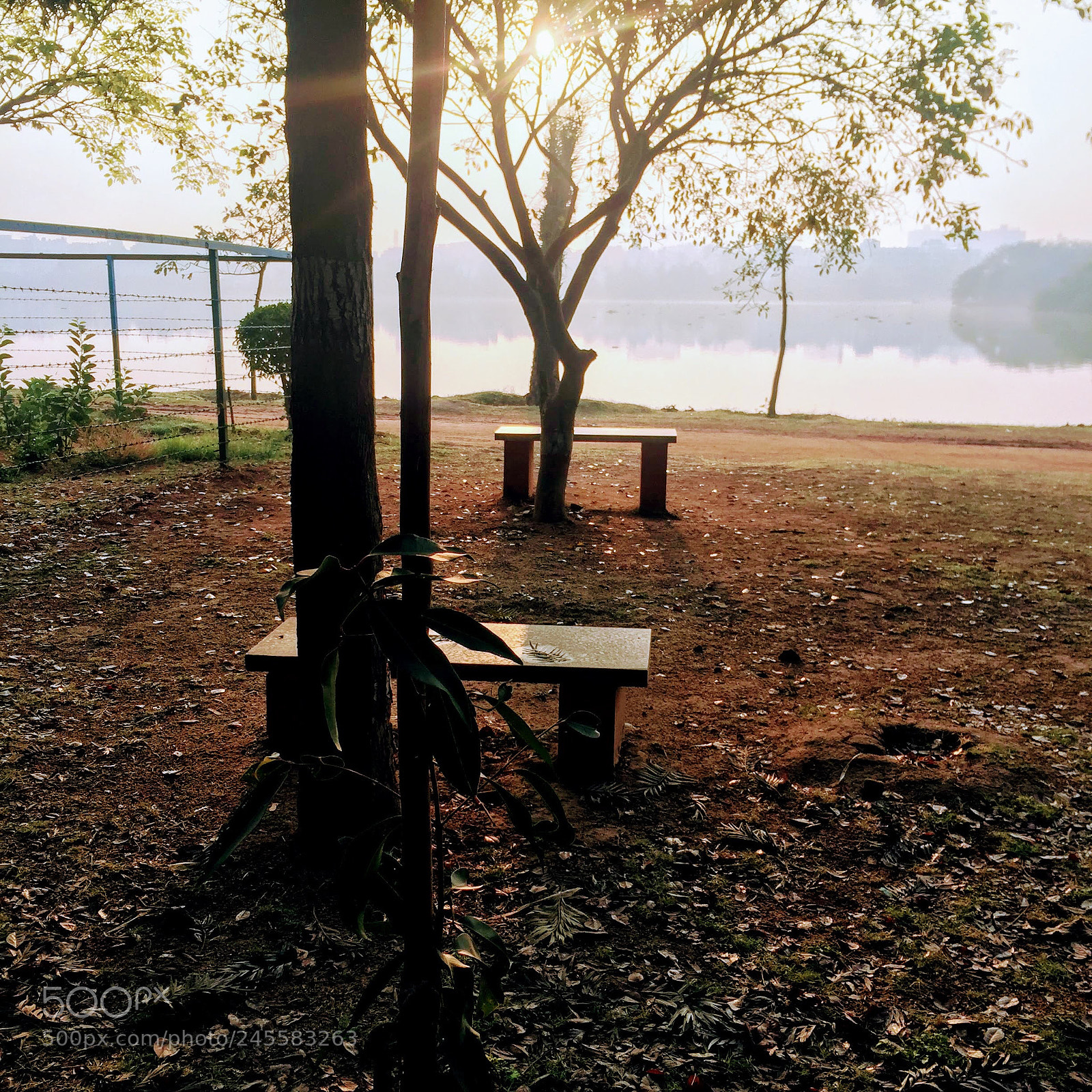Apple iPhone 6 sample photo. We are together but photography