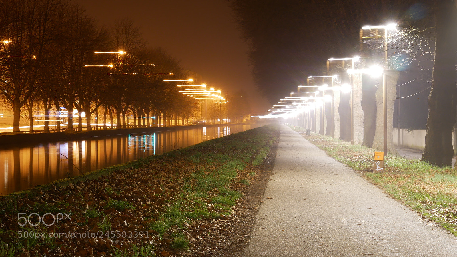 Panasonic Lumix DMC-GX85 (Lumix DMC-GX80 / Lumix DMC-GX7 Mark II) sample photo. Untitled photography