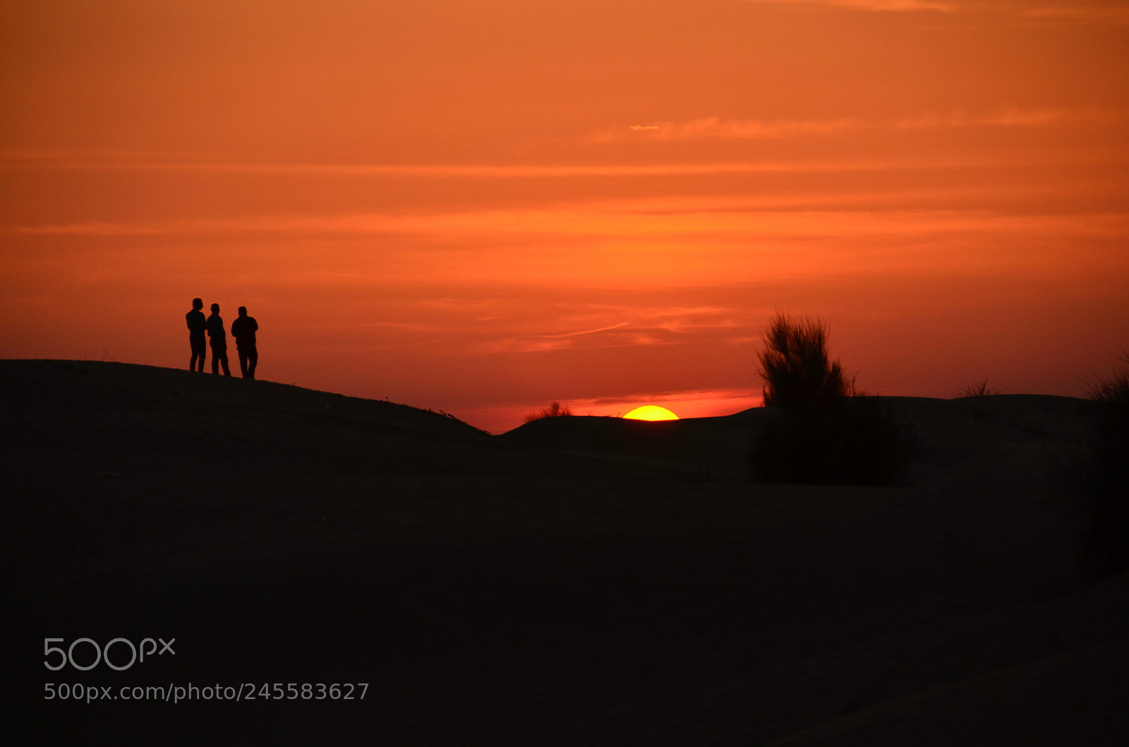 Nikon D5100 sample photo. Desserts sunset photography