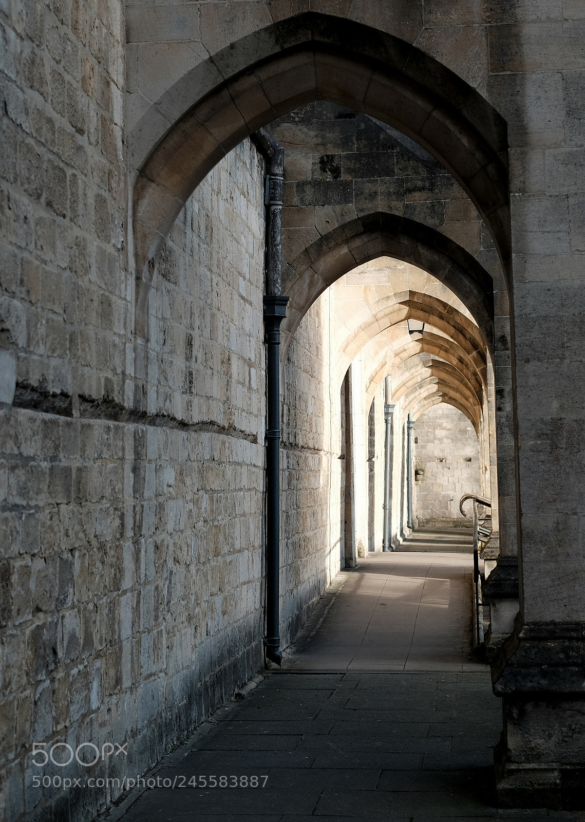 Fujifilm X-Pro2 sample photo. Flying buttresses photography
