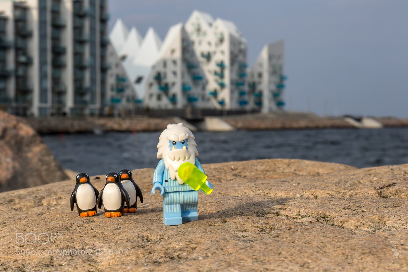 Canon EOS 7D Mark II sample photo. Life on an iceberg photography