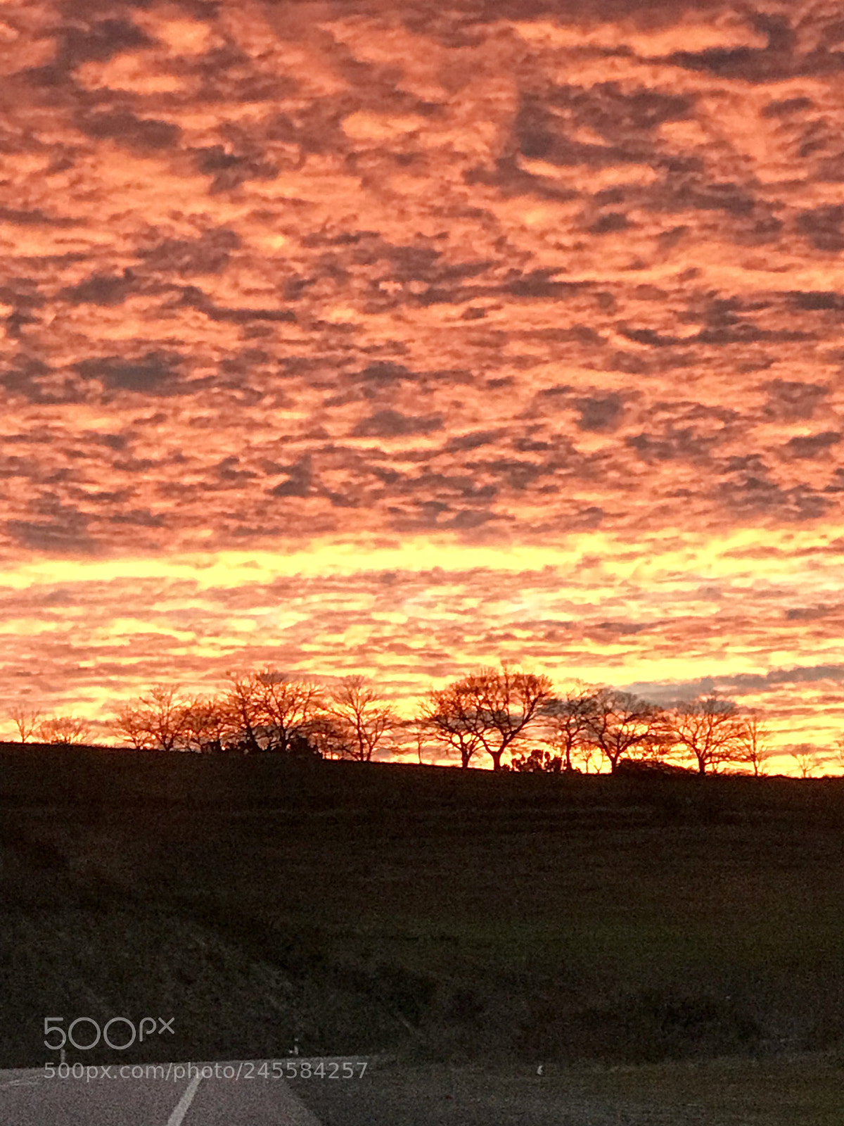 Apple iPhone 7 Plus sample photo. The sunrise in the photography