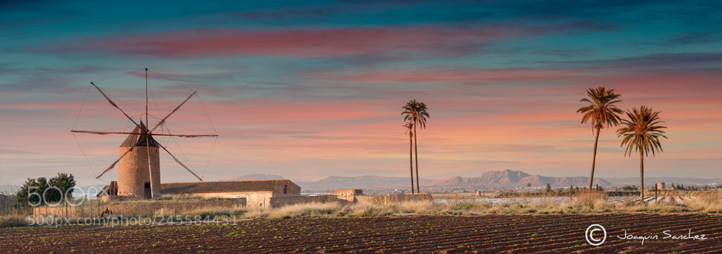 Nikon D800 sample photo. Molino de viento photography