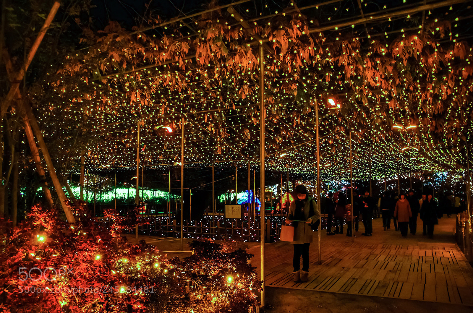 Pentax K-5 sample photo. Fantasy night 2... photography