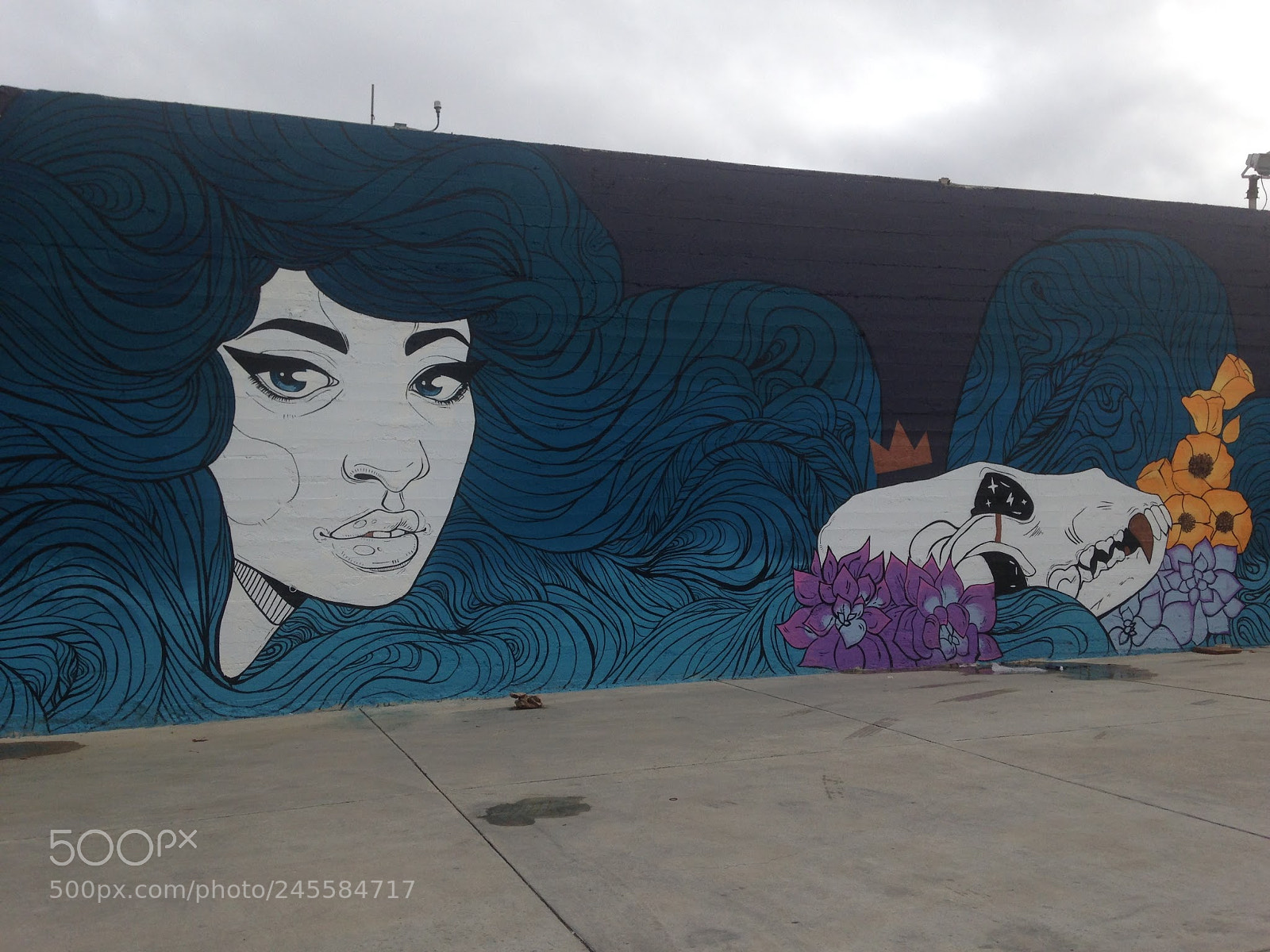 Apple iPhone 5c sample photo. Mural downtown san jose photography