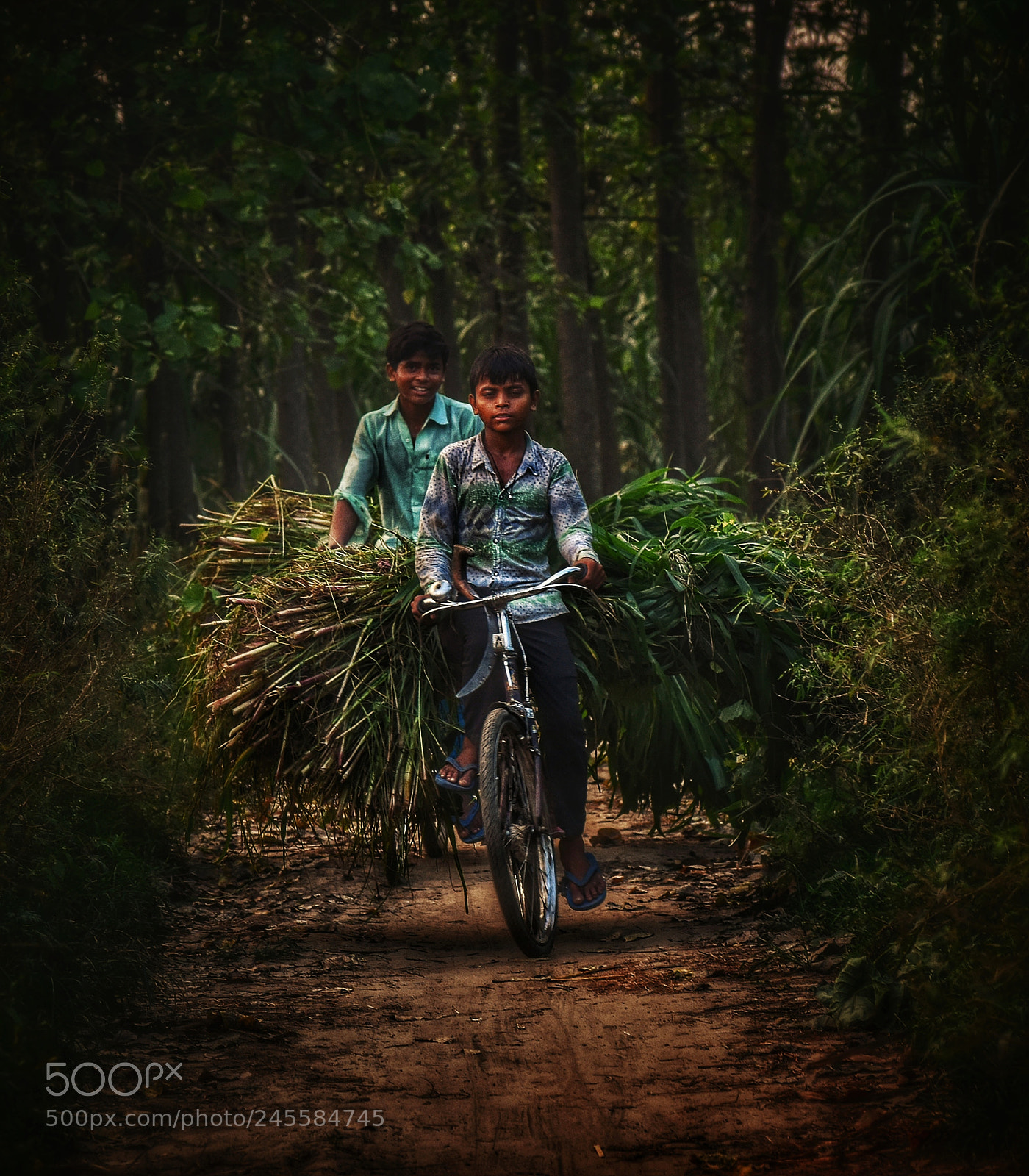 Nikon D5500 sample photo. Rural life photography
