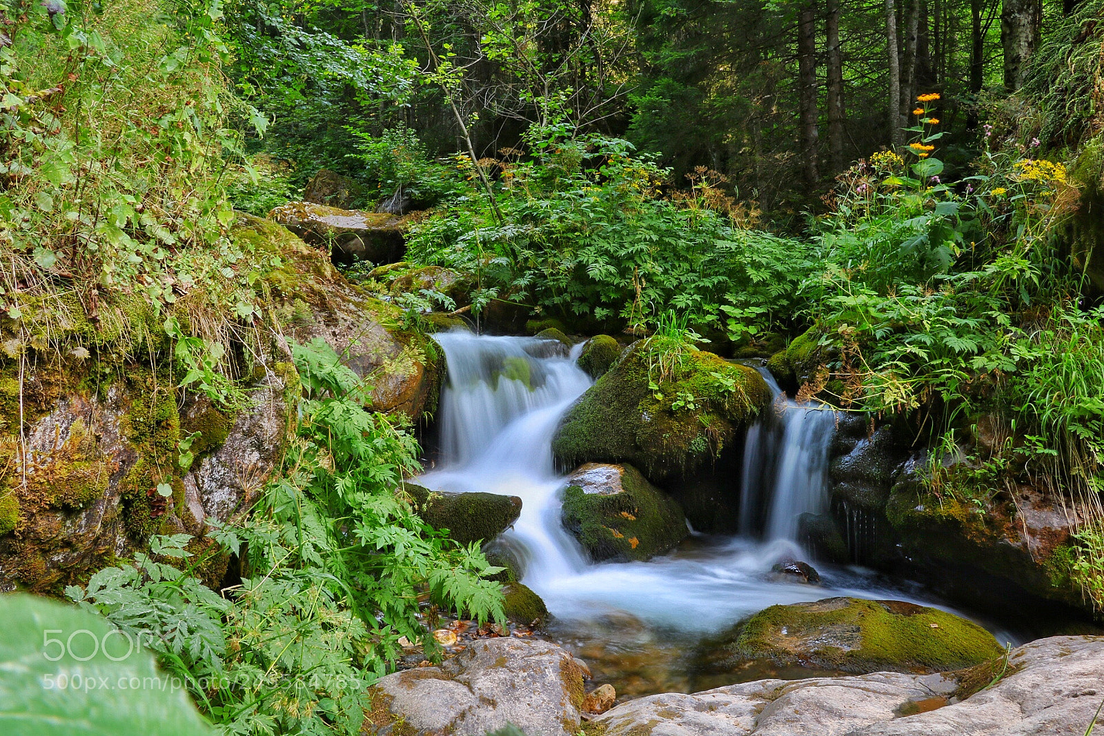 Canon EOS 750D (EOS Rebel T6i / EOS Kiss X8i) sample photo. Beautiful bosnia photography