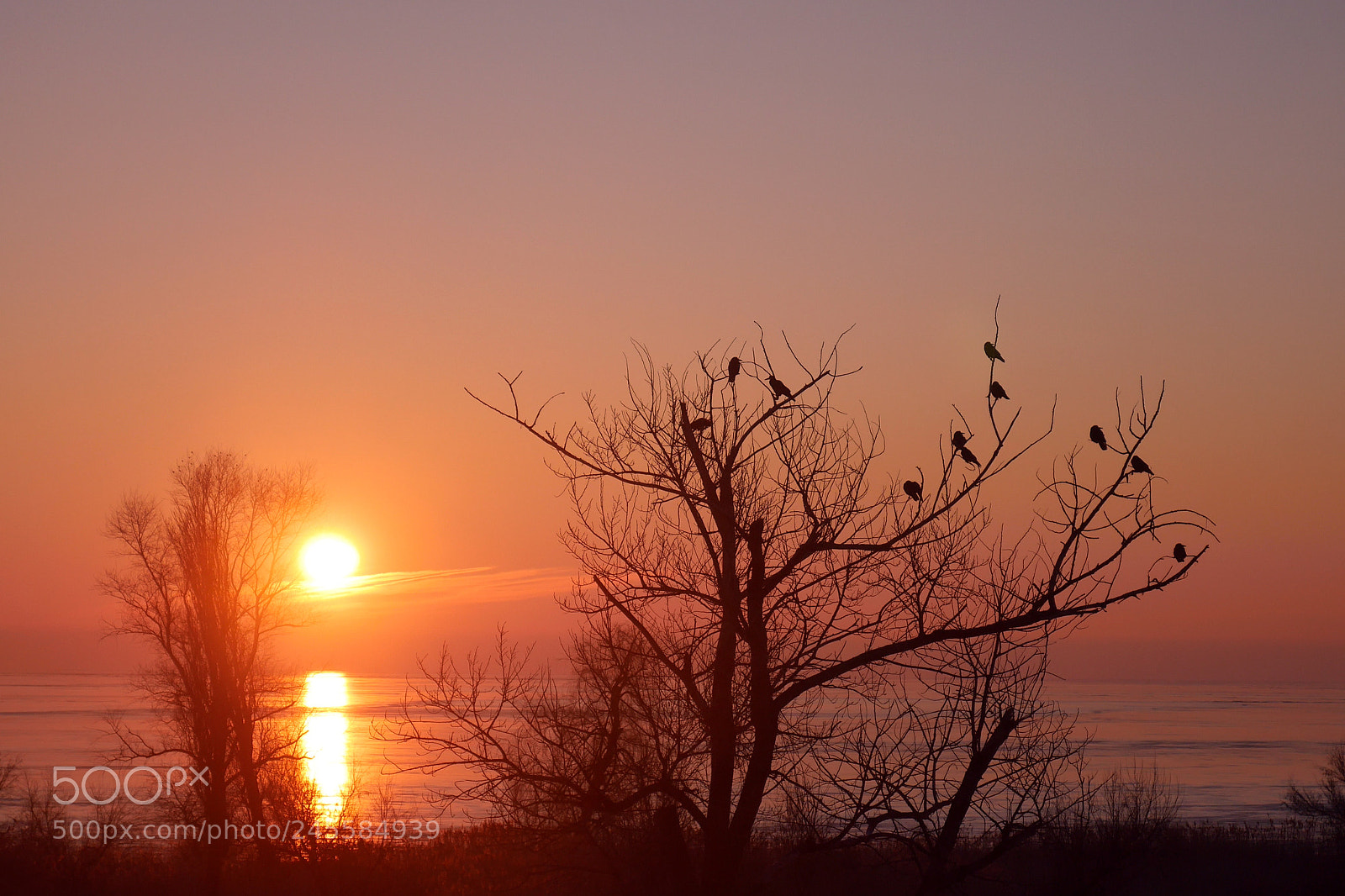 Panasonic Lumix DMC-G7 sample photo. Winter morning photography