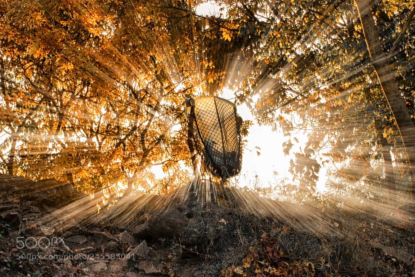 Canon EOS 7D Mark II sample photo. Kuka photography