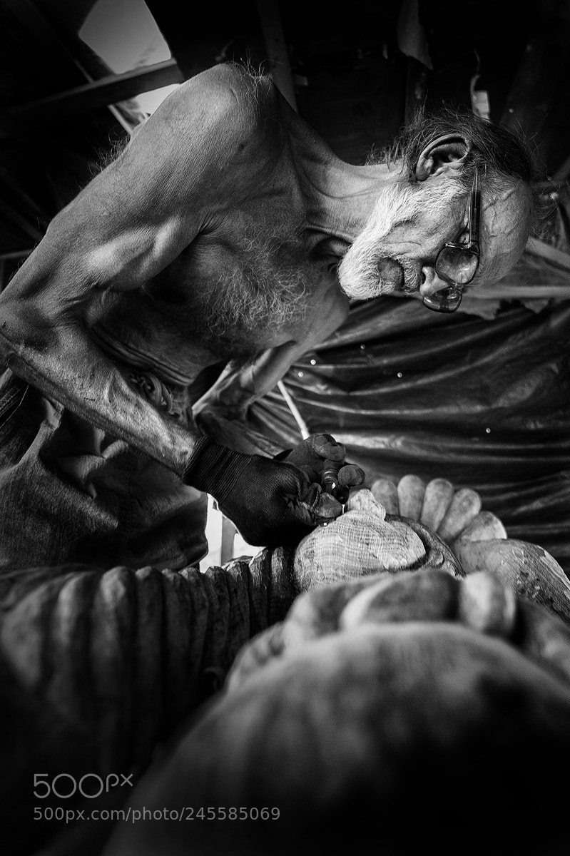 Nikon D3S sample photo. Povilas photography