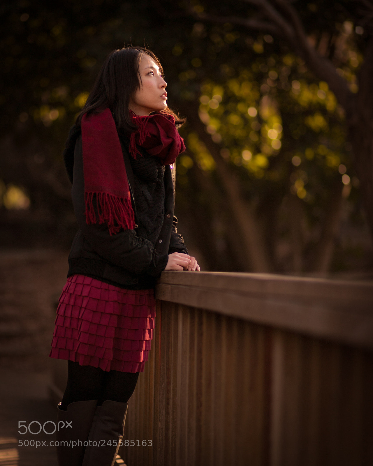 Canon EOS 6D Mark II sample photo. Winter light photography