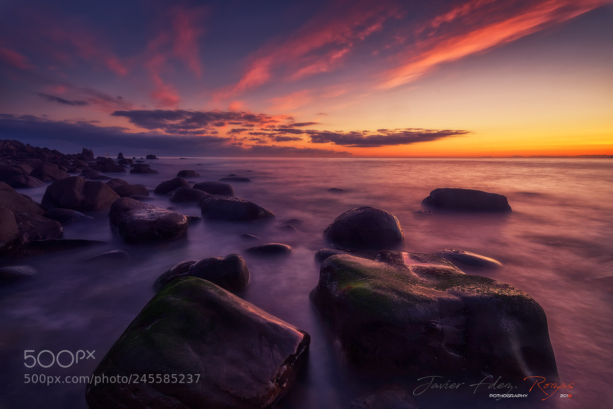 Nikon D800 sample photo. Arribolas sunrise photography
