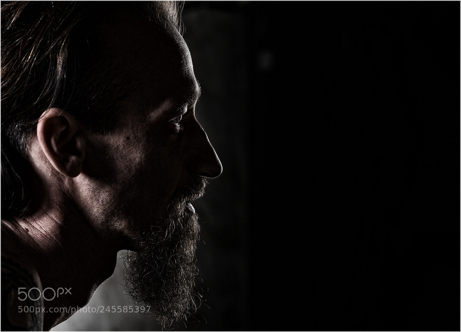 Nikon D610 sample photo. Untitled photography