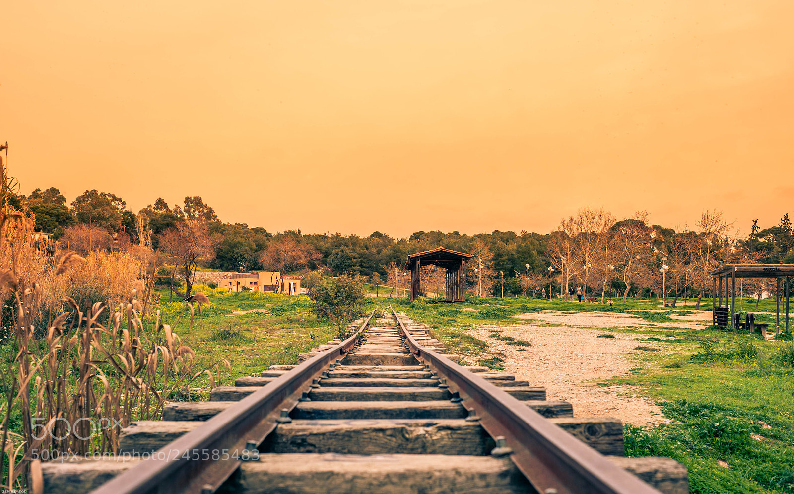 Nikon D700 sample photo. Reaching the station photography